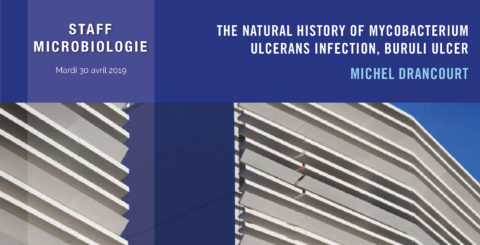 The natural history of mycobacterium ulcerans infection, Buruli Ulcer