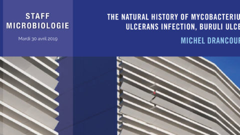 The natural history of mycobacterium ulcerans infection, Buruli Ulcer