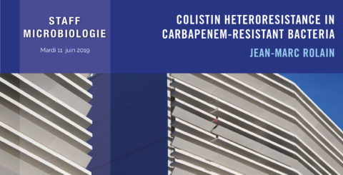 Colistin heteroristance in carbapenem-resistant bacteria