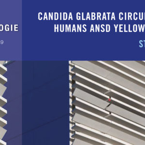 Candida glabrata circulates between  Humans ansd Yellow-legged gulls