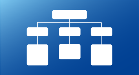 Organigramme du CNR