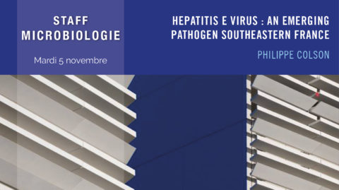 Hepatitis E virus : an emerging pathogen southeastern France