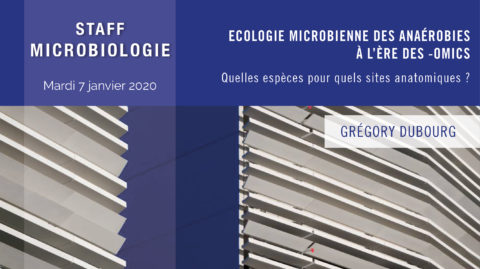 Ecologie microbienne des anaérobies à l’ère des -Omics.