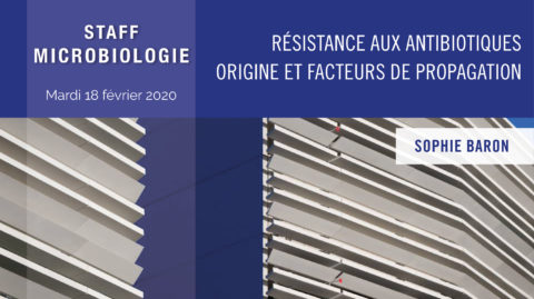 Résistance aux antibiotiques origine et facteurs de propagation