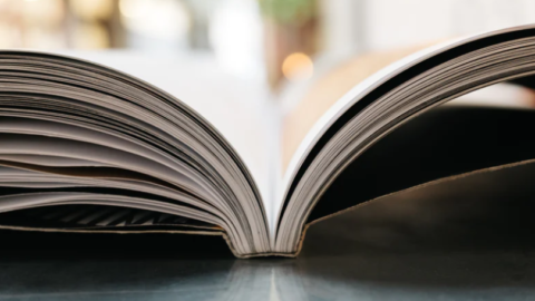 Correction Scientifique