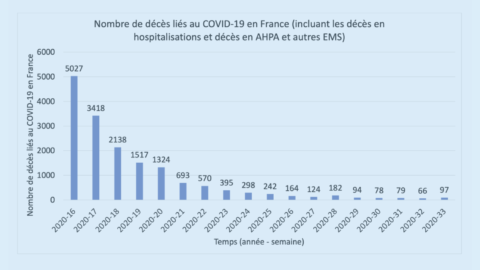 Nombre de décès liés au COVID-19 en France, par semaine