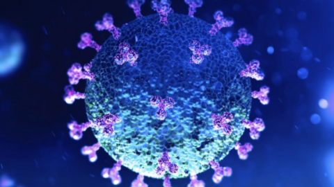 Procédure pour la détection par qPCR des variants SARS-CoV-2 Marseille-4