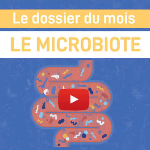 Les recherches sur le microbiote – Partie 2 : Méthodes & Technologies