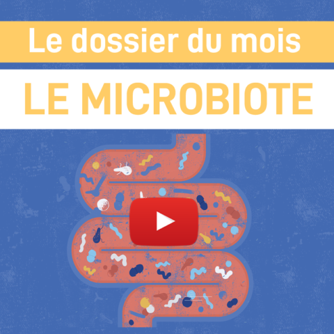 Les recherches sur le microbiote – Partie 1 : Généralités