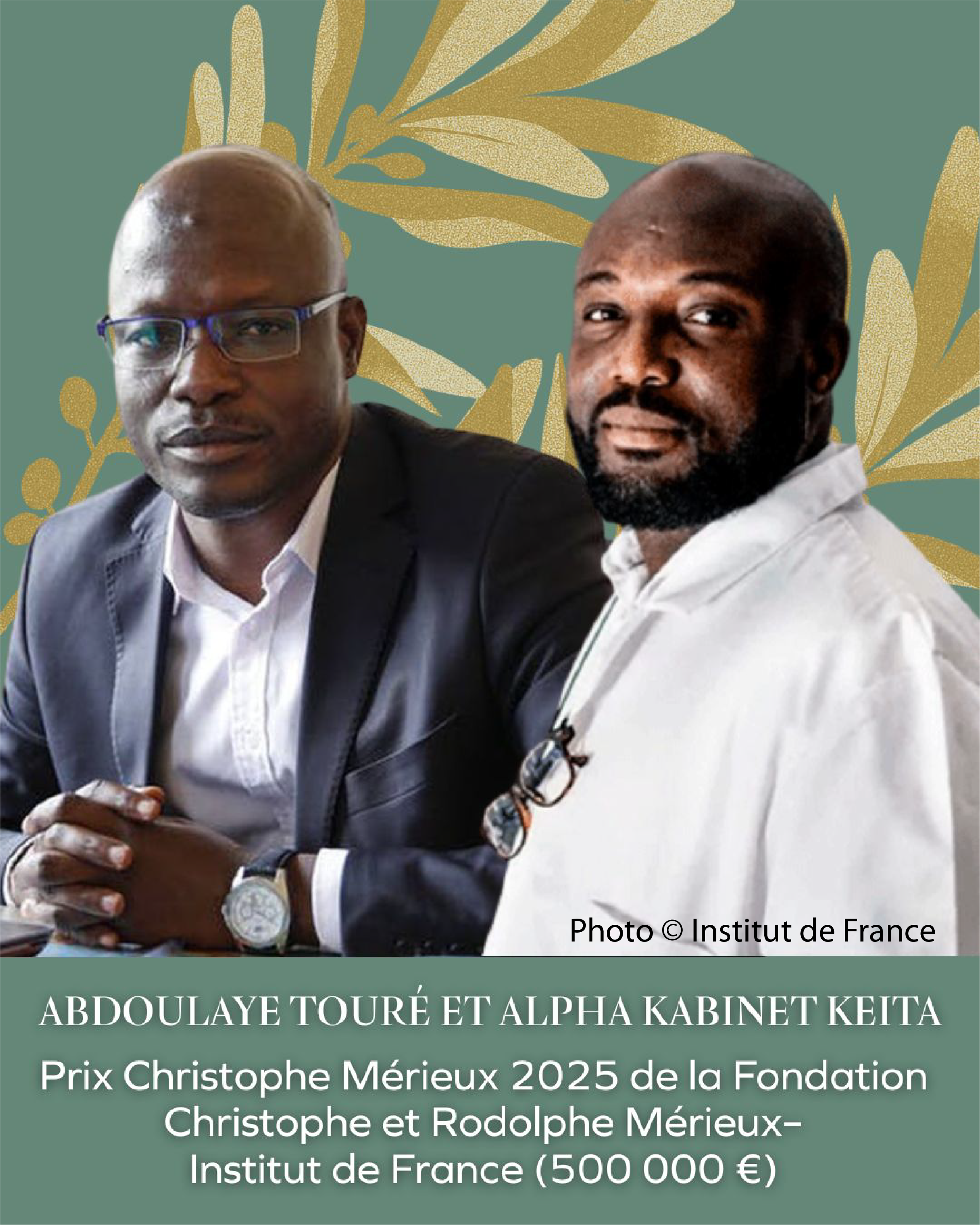 visuel article institut de france
